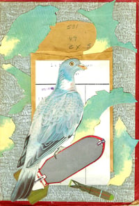Image 1 of Kamikaze Meth Pigeon