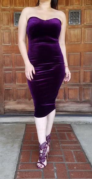 Image of Leslie Velvet Dress