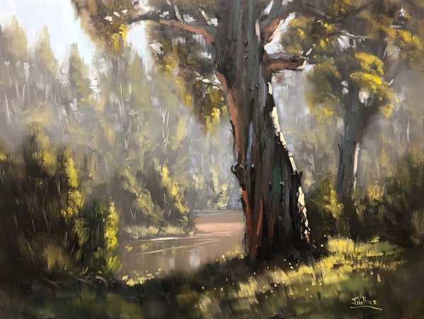Image of The Cudgegong At Putta Bucca