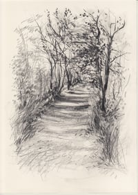 Forest path no. 3