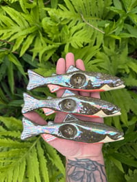 Image 1 of Brook Trout - Mother of Pearl
