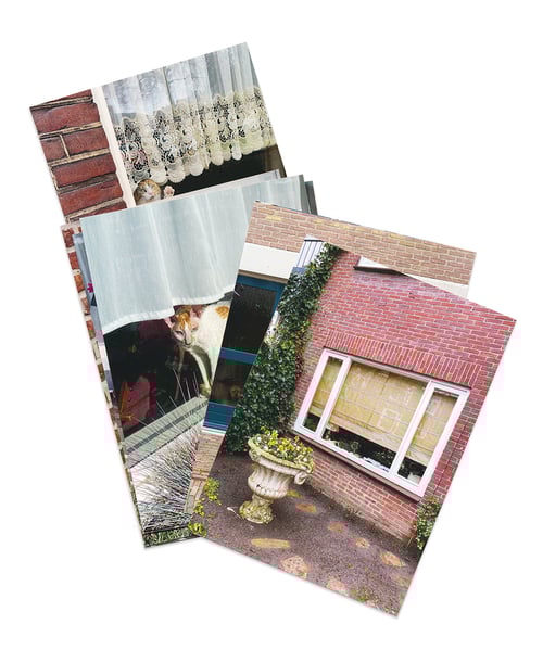 Image of 'Cats and Dogs in the Window' - postcardset