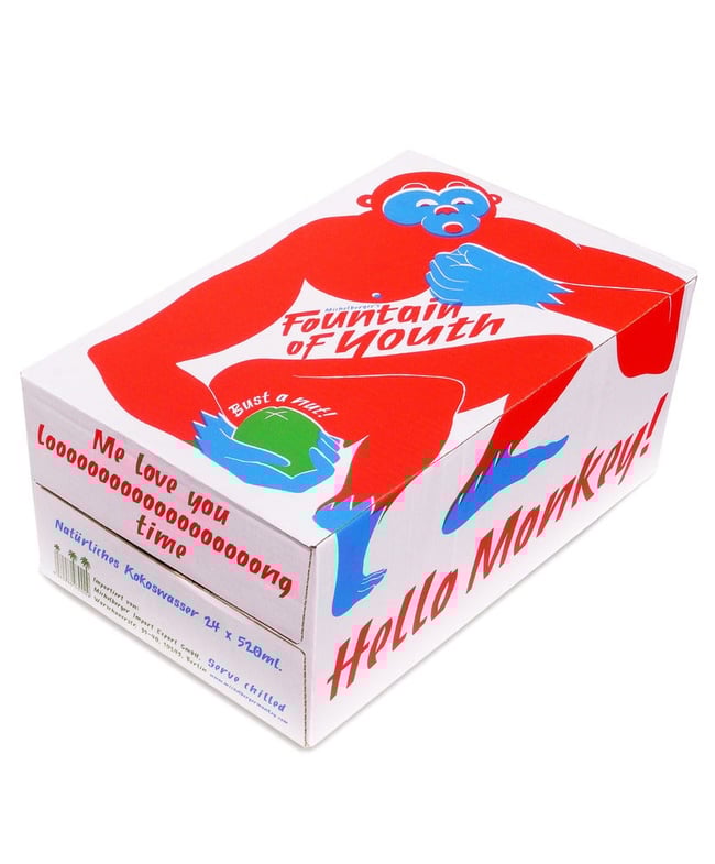 ØKO Fountain of Youth kokosvand 24 stk x 520 ml