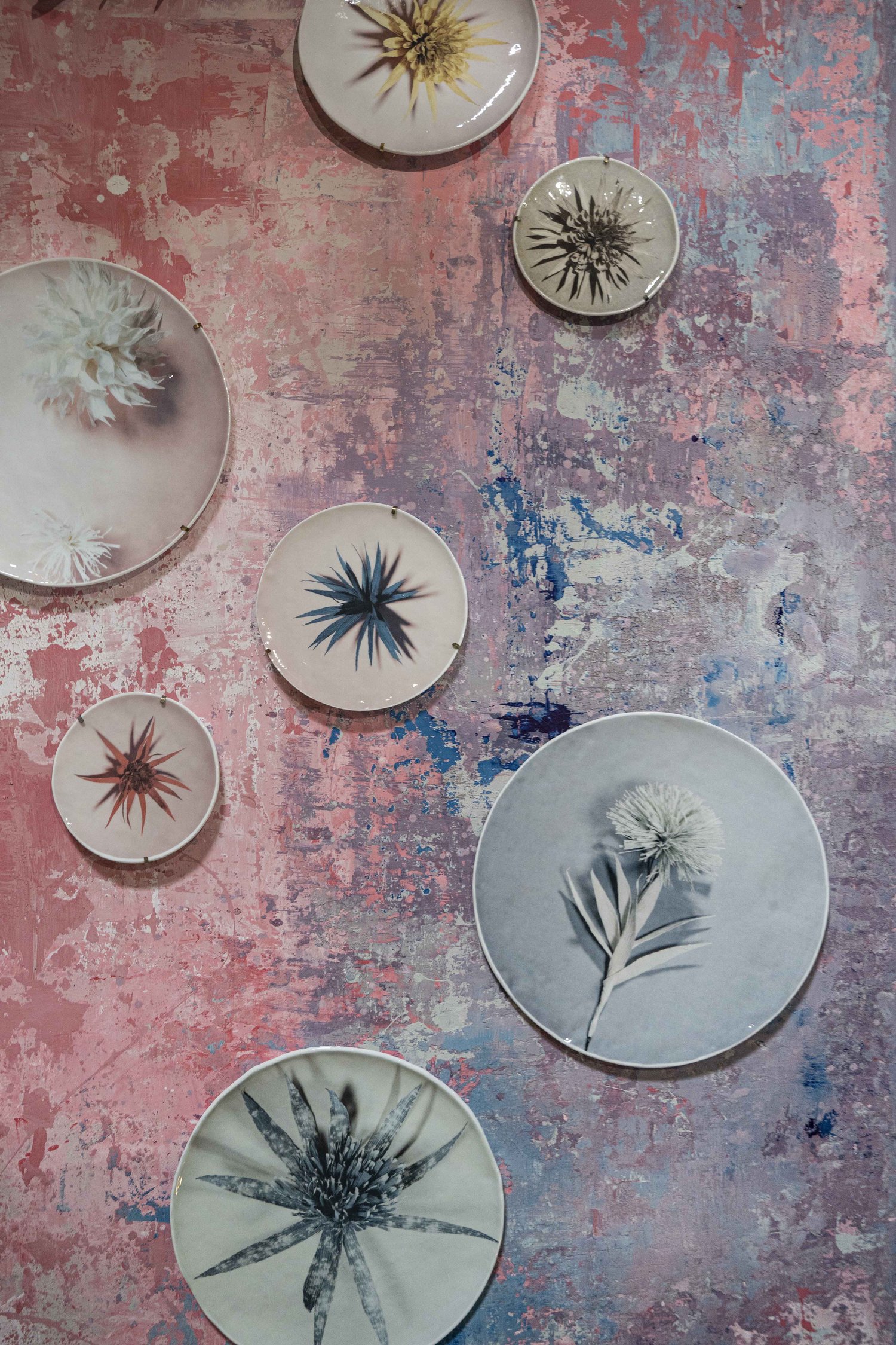 Image of Collezione di piatti "FIORI" firmata ANDREA MERENDI per VETROFUSO©