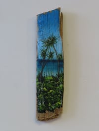 A tropical view in Cornwall Driftwood