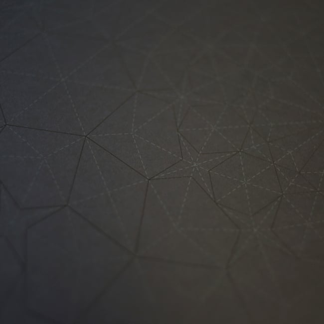 Ara117 Print / Drawing