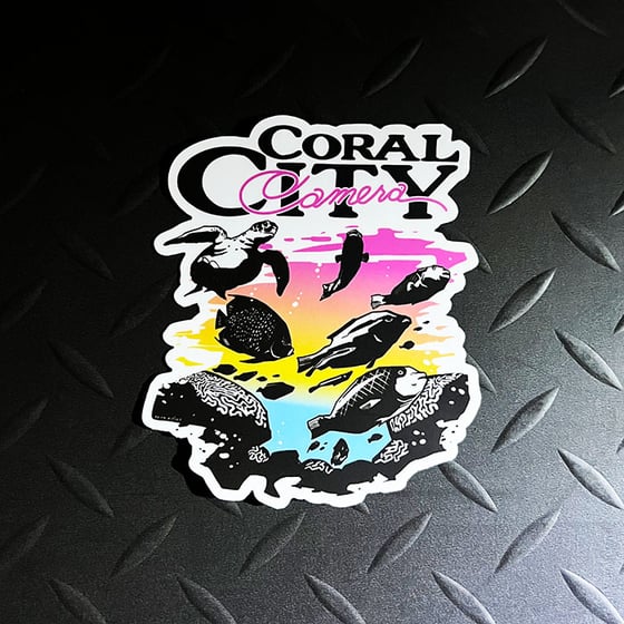 Image of Coral City Camera Sunset Sticker