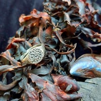 Image 4 of Rain Drop Signet Ring