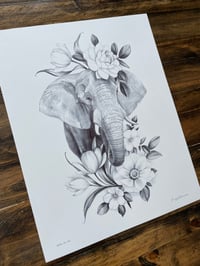 Image 2 of Elephant