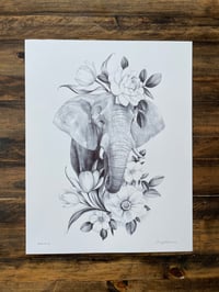 Image 1 of Elephant