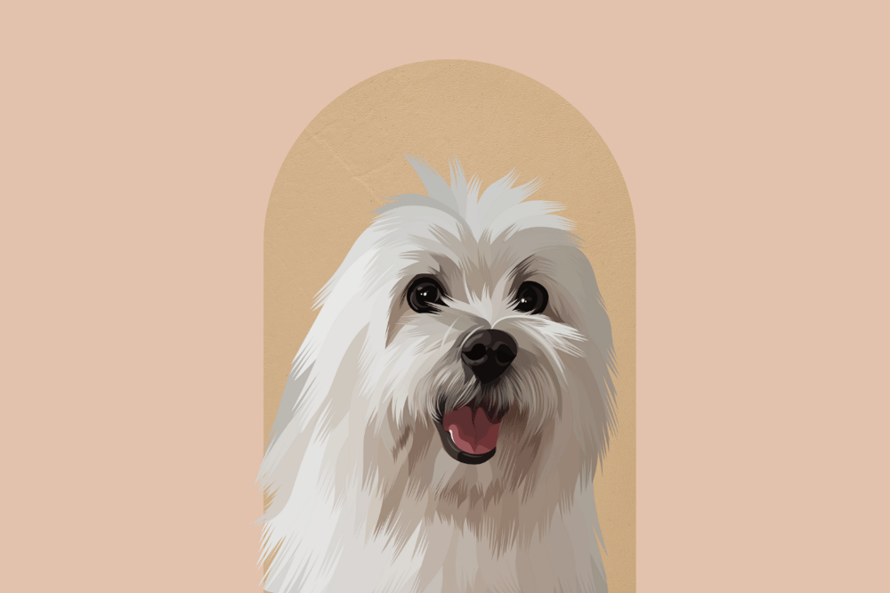 Image of Pet Illustration