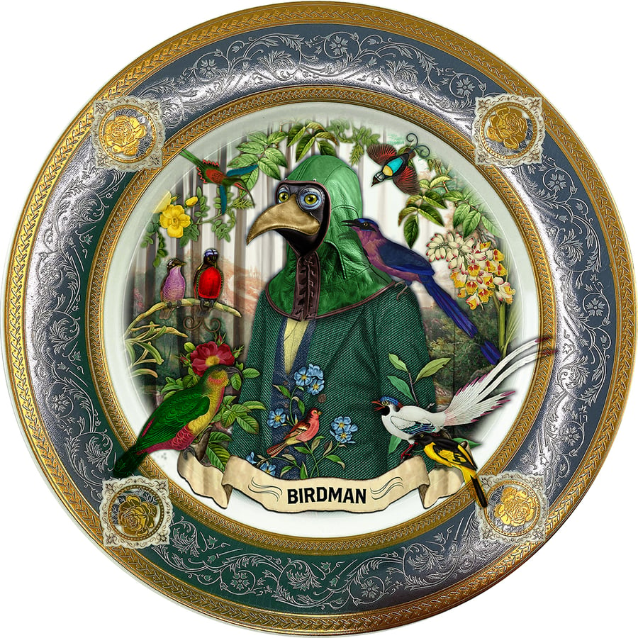 Image of Birdman - Fine China Plate - #0788