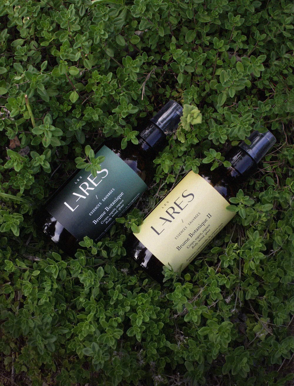 Image of Brume Botanique II