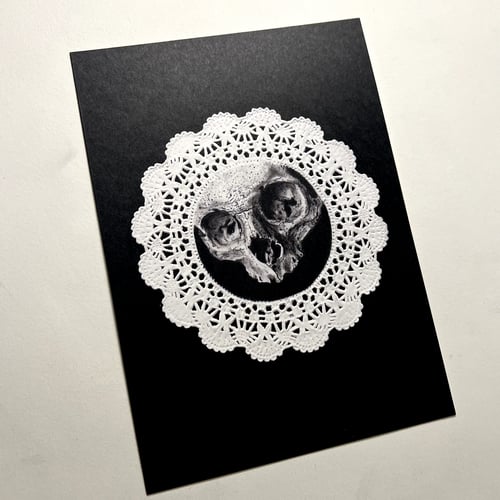 Image of Skull Doily Art Print 5x7