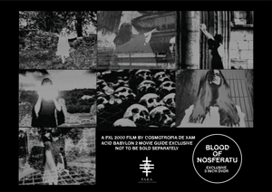 Image of Limited 50 BLOOD OF NOSFERATU 3 INCH DVDR + Acid Babylon 2 Guide / Magazine