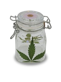 Image 4 of Sparkling Jane Stash Jar
