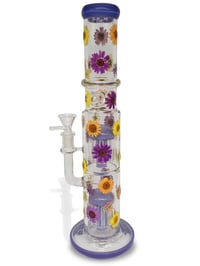 Image 3 of Velma & Daphne 16" Waterpipe 