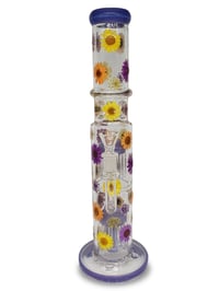 Image 4 of Velma & Daphne 16" Waterpipe 