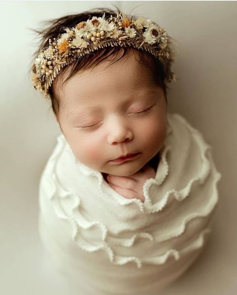 Image of Daisy  halo