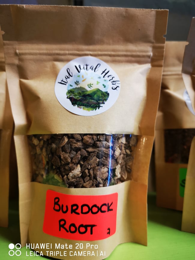 Burdock root