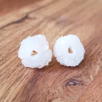 Image 5 of Solar, Gifted to Scarlett Johansson