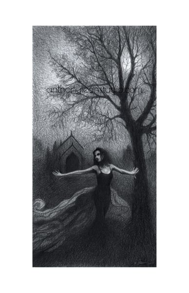 Image of Shadow Dancer