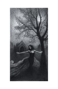 Image 1 of Shadow Dancer