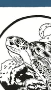 Sky Turtle