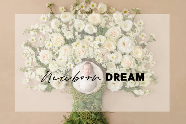 Image of Deposit - Newborn Dream Session ($4999)