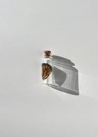 Image 1 of Loose Wing Jar - LARGE