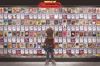 NES Vidpro Wall (Head-On)
