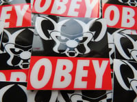 Image 1 of OBEY Brain Sticker