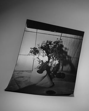 Image of ENTRE CHIEN ET LOUP (SÉRIGRAPHIE) - ROOMY THE KID