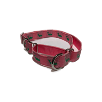 Green Whale/pink - Martingale Collar