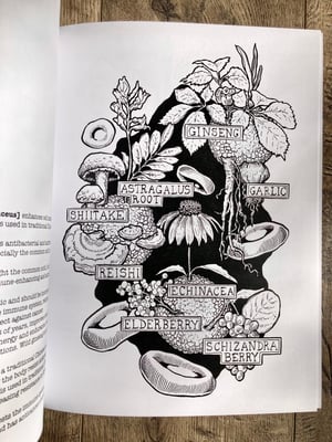 Image of THE HERBACEOUS HUMAN [an herbalist coloring book]