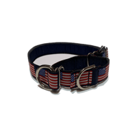 American Flag - Martingale Collar