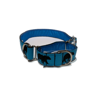 Bear - Martingale Collar