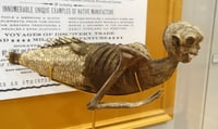 Image 3 of Museum of Unnatural History Workshop Weds 9th July 6pm - 9pm 