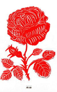 RED ROSE CARD/ PRINT