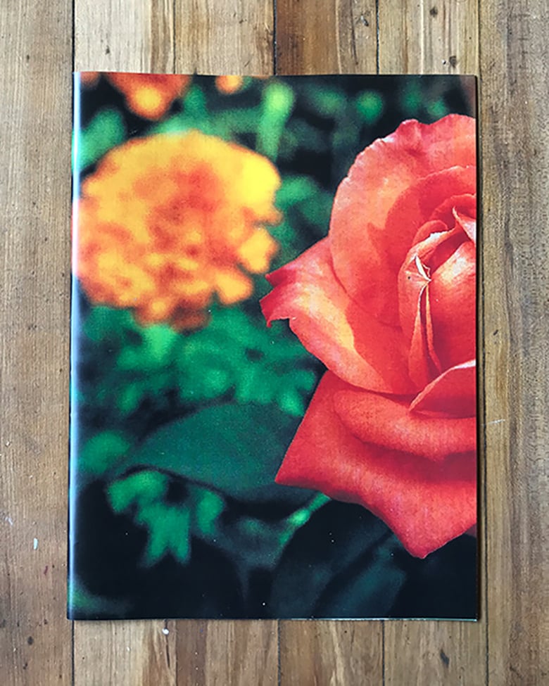 Image of Adam Turnbull 'Found Flowers' - artist publication