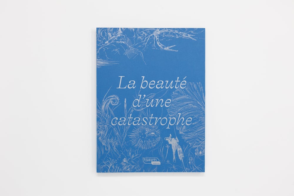 Image of "La beauté d'une catastrophe"