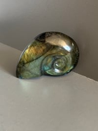 Image 1 of Labradorite Ammonite Carving