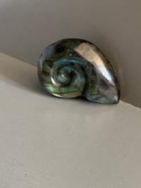 Image 2 of Labradorite Ammonite Carving