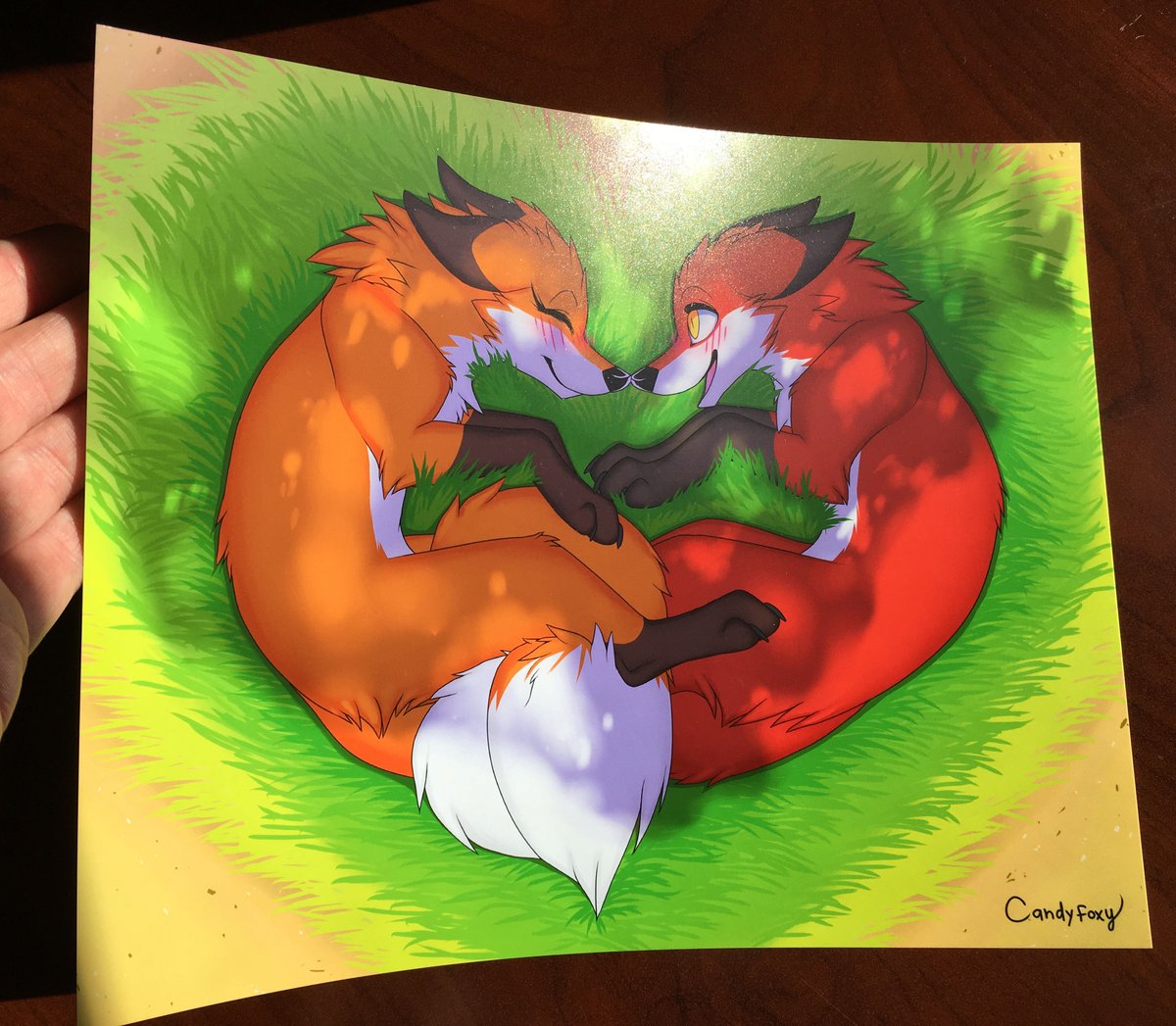 dfgdfgdfg  Fox art, Art prints, Love art