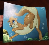 Image 3 of Male Otter Swimming - Glossy 8" x 10" Art Print