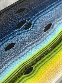 Image 1 of Steelhead by Mikie
