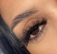 Dreamy Lashss 