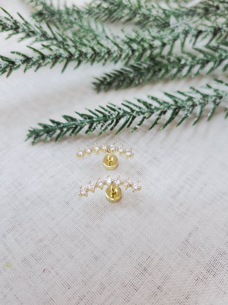 Image of Summer Earrings 