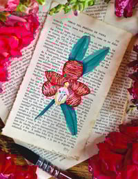 Image 2 of Life in Old Pages Botanical n.3 Arachnis Cathcartii