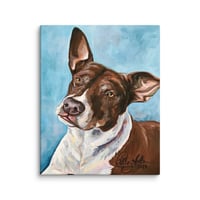 Image 1 of Big Brown Ears